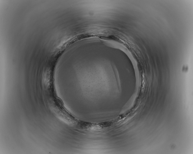 X0000091710600200709141122