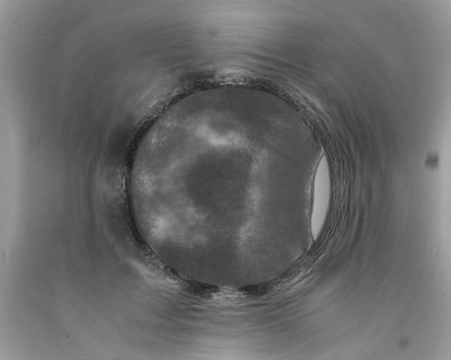 X0000091710603200709141122