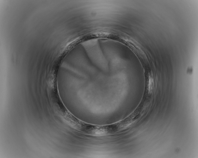 X0000091710604200709141122