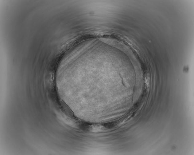 X0000091710605200709141122