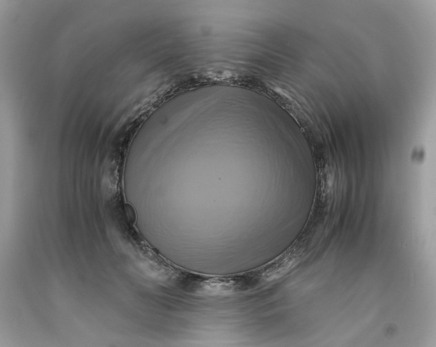 X0000091710606200709141122