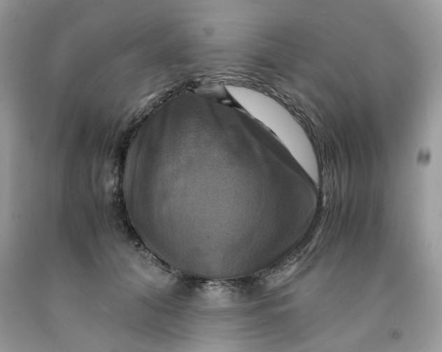 X0000091710608200709141122