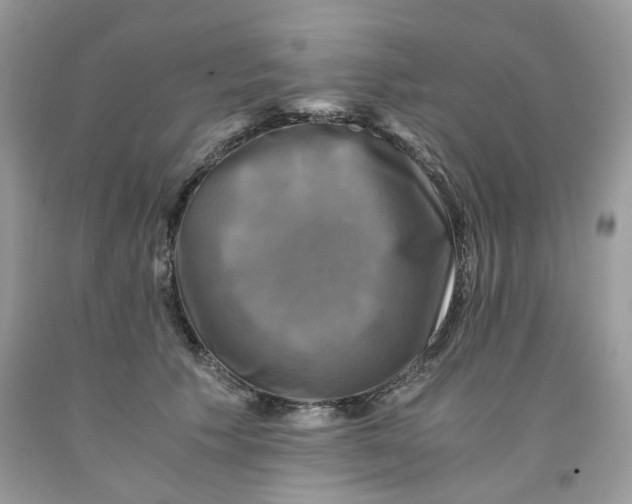 X0000091710609200709141122