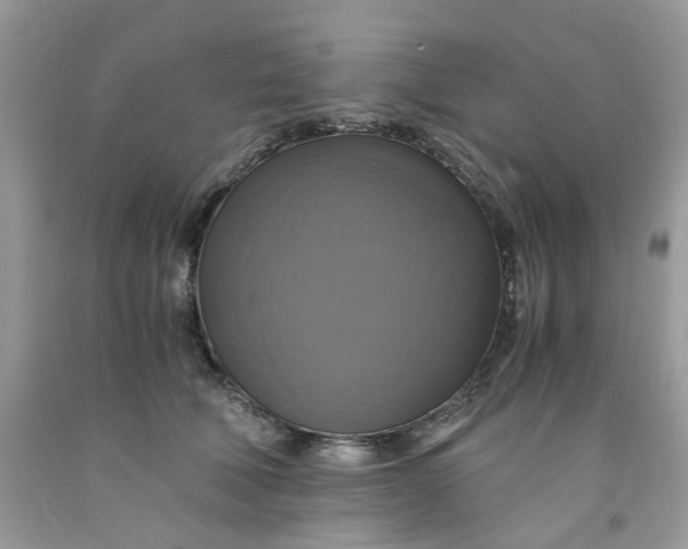 X0000091710610200709141121