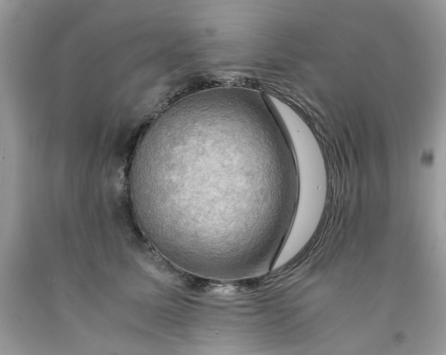 X0000091710611200709141121