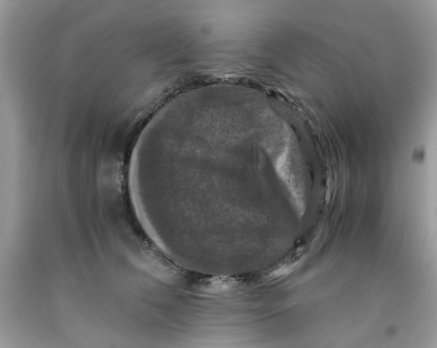 X0000091710612200709141121