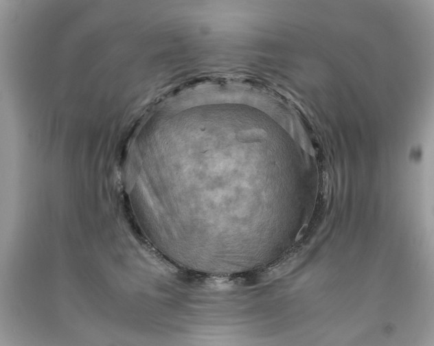 X0000091710613200709141121