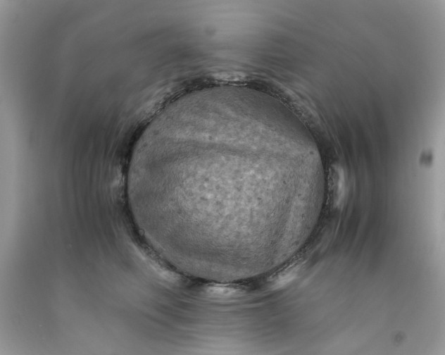 X0000091710614200709141121