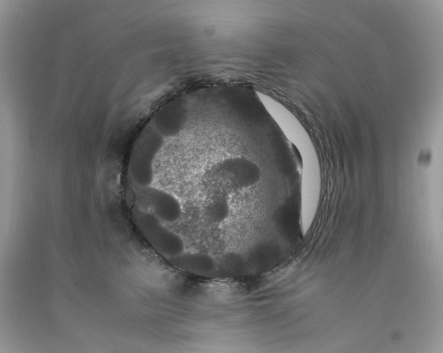 X0000091710615200709141121