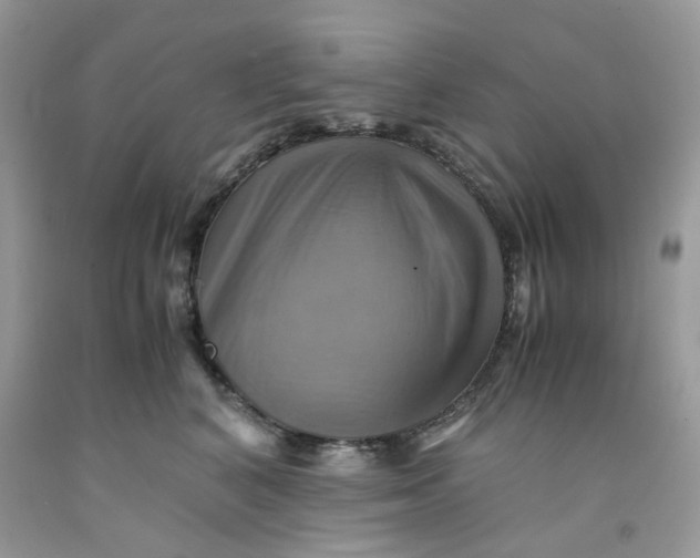 X0000091710616200709141121