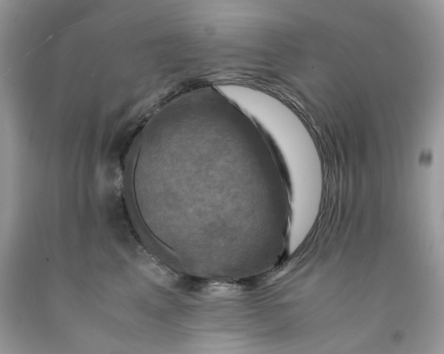 X0000091710617200709141121