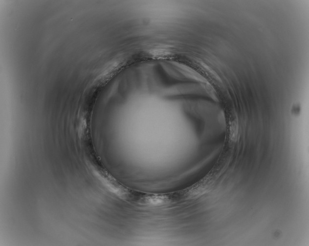 X0000091710618200709141121