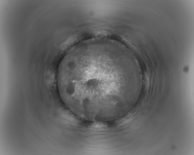 X0000091710619200709141121