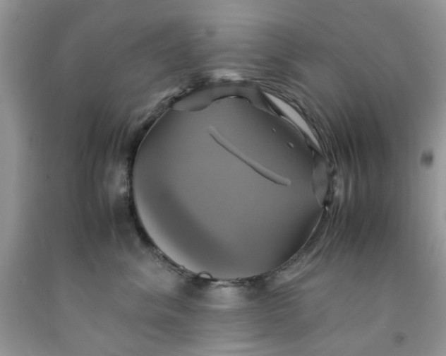 X0000091710620200709141121