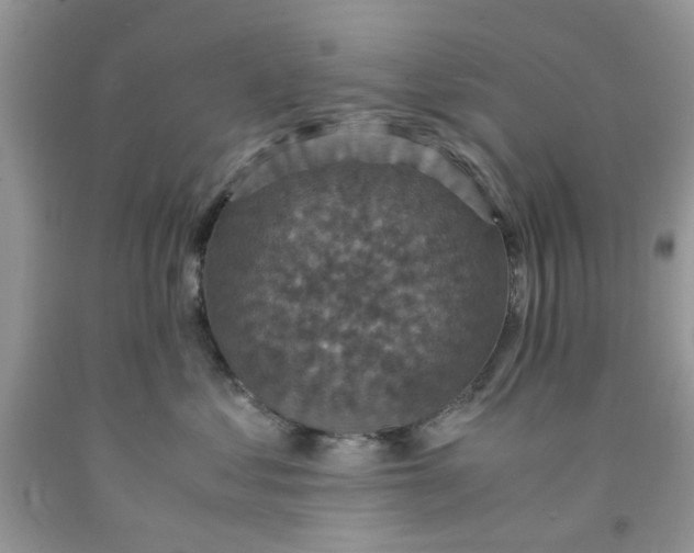 X0000091710621200709141121