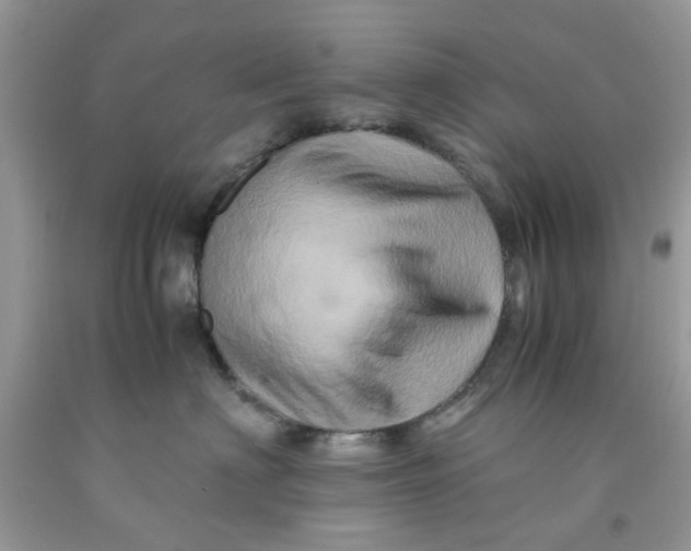 X0000091710622200709141121