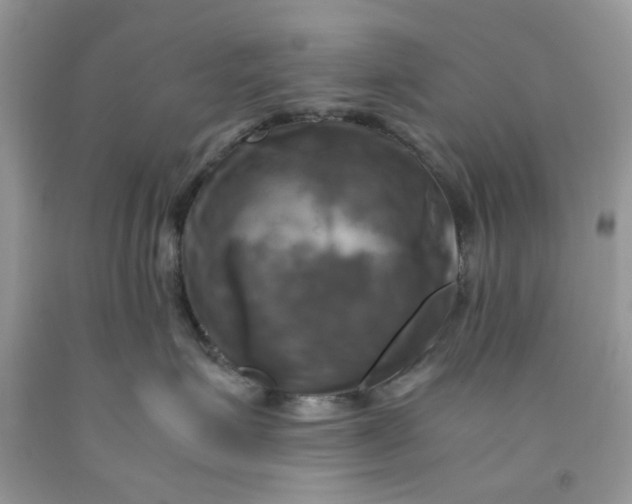 X0000091710623200709141121