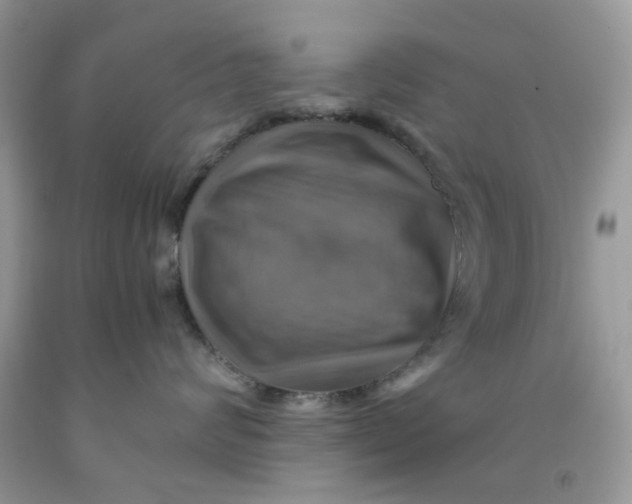 X0000091710624200709141121