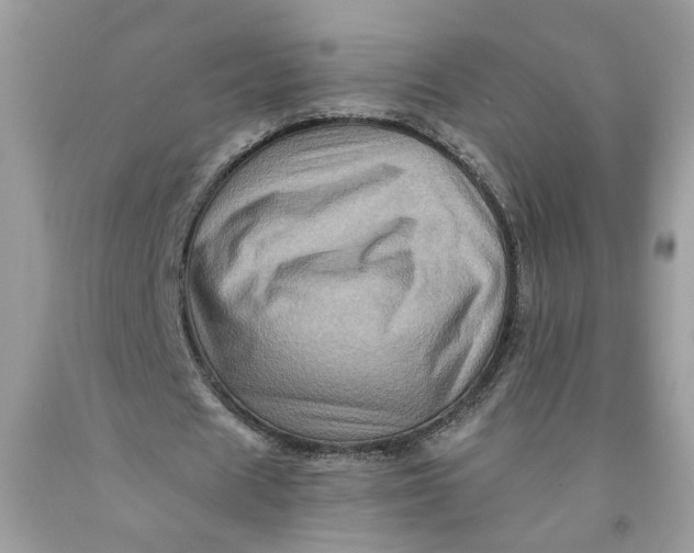 X0000091710625200709141121