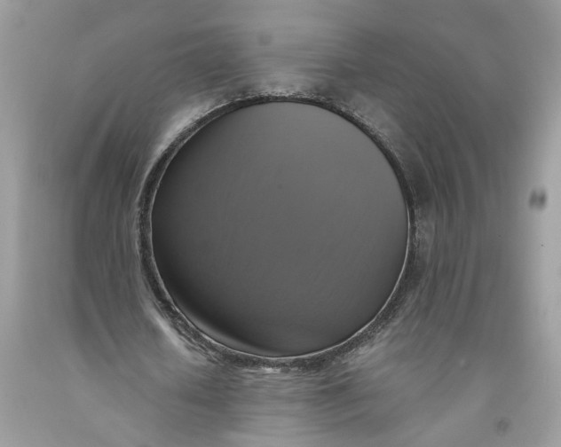 X0000091710626200709141121