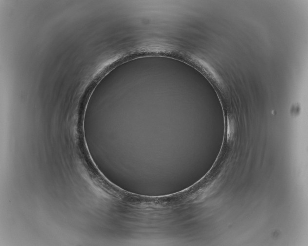 X0000091710627200709141121