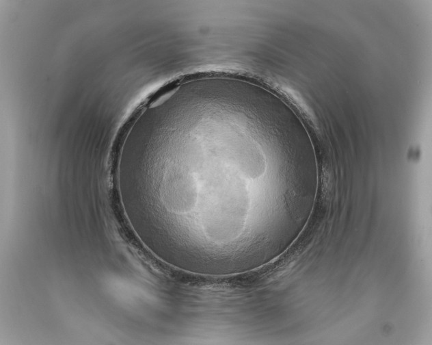 X0000091710628200709141121