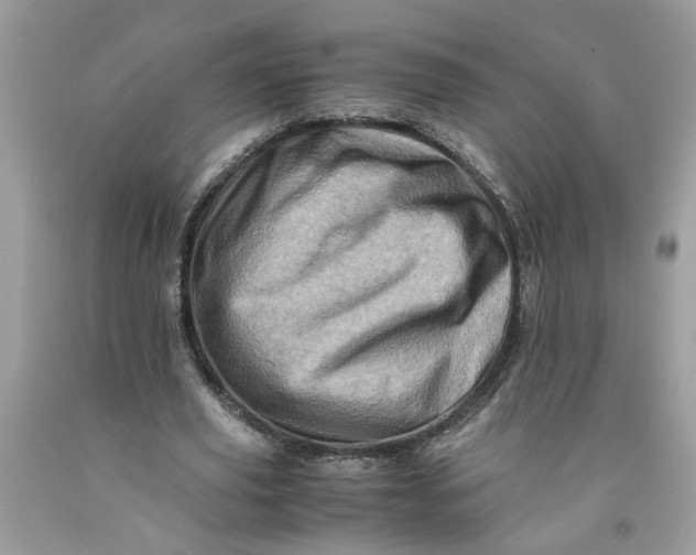 X0000091710629200709141121