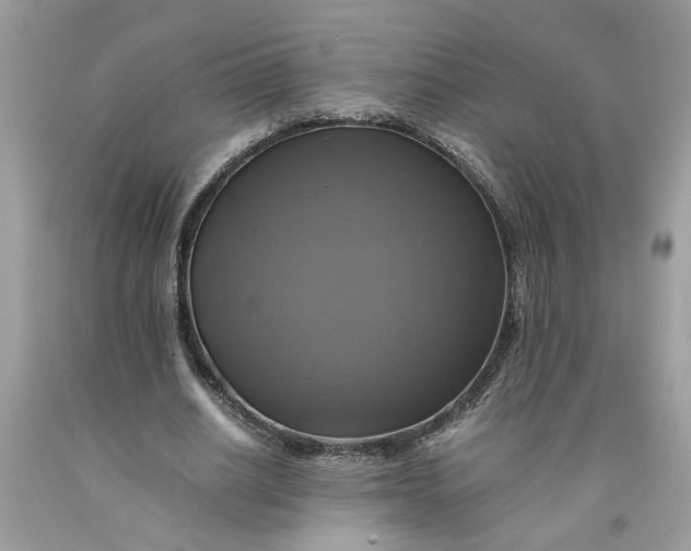 X0000091710630200709141121