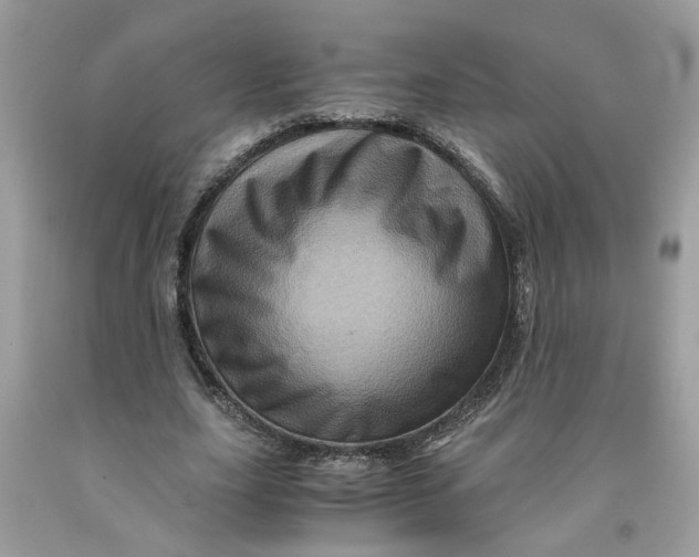 X0000091710631200709141121