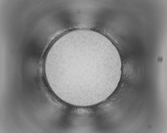 X0000091710632200709141121