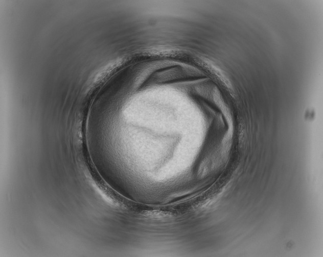 X0000091710633200709141121