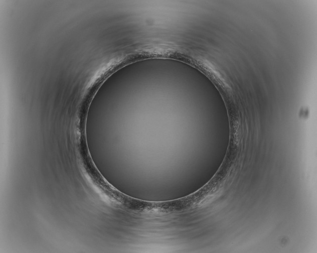 X0000091710634200709141121