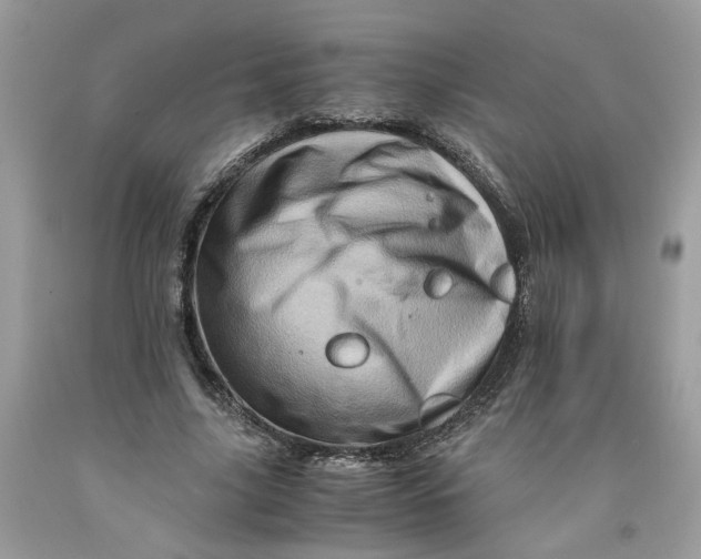 X0000091710635200709141121