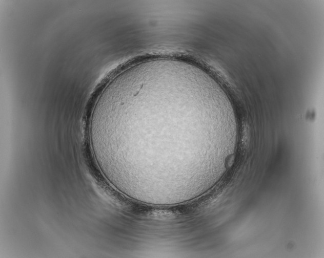 X0000091710636200709141121