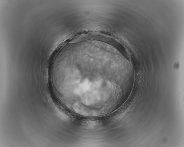 X0000091710638200709141121