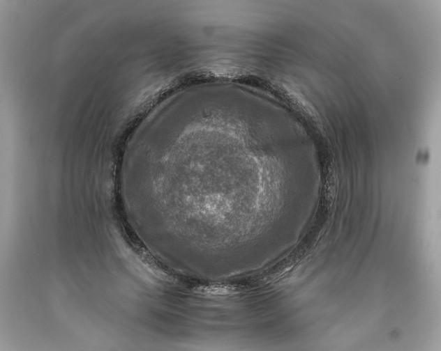 X0000091710639200709141121