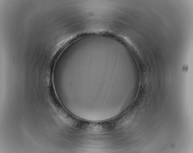 X0000091710640200709141121