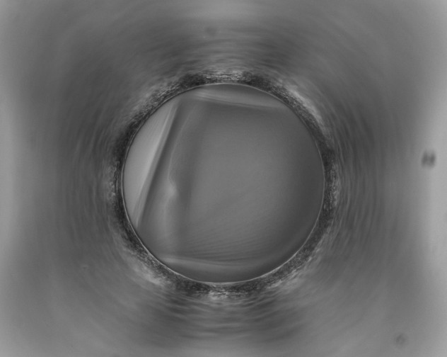 X0000091710641200709141121