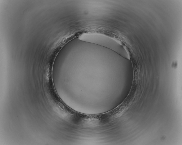 X0000091710644200709141121