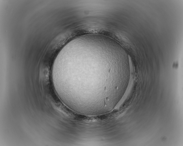 X0000091710646200709141121