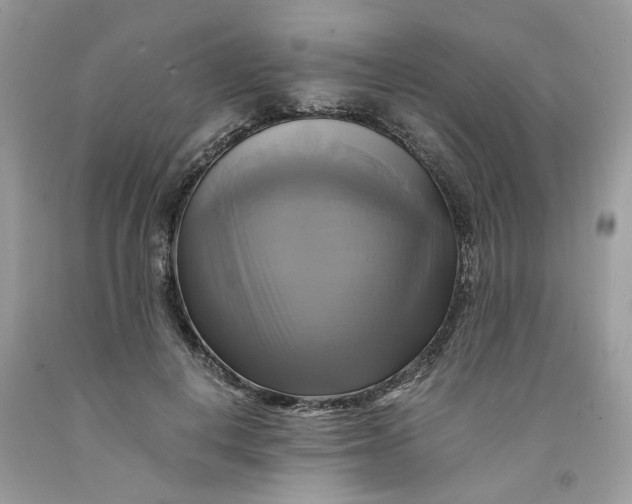 X0000091710648200709141121