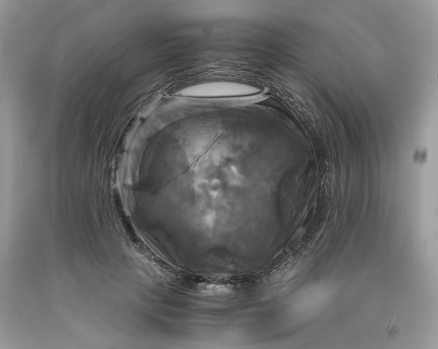 X0000091710649200709141121