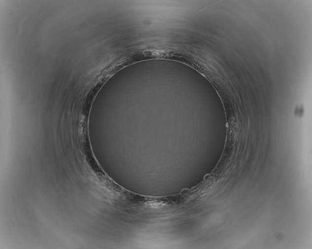 X0000091710650200709141121