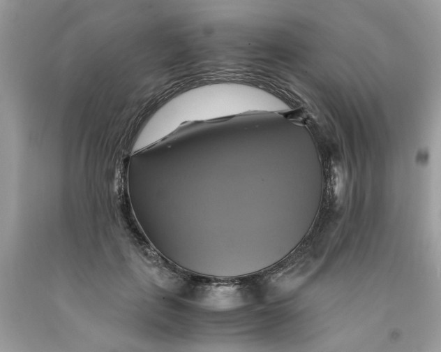 X0000091710651200709141121