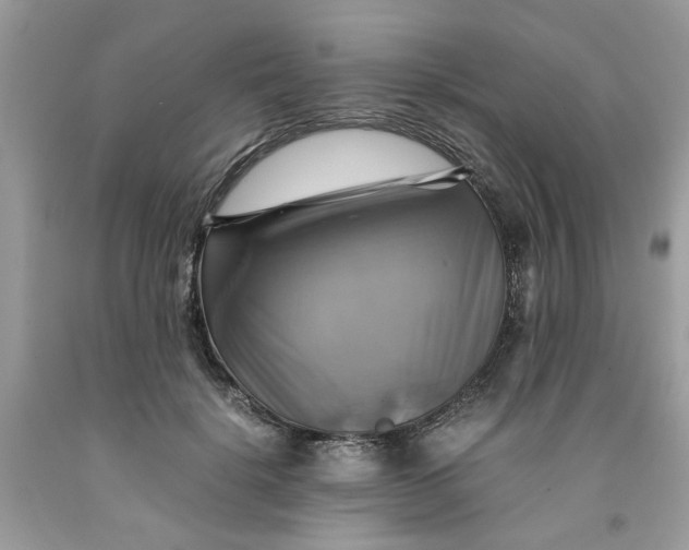 X0000091710652200709141121