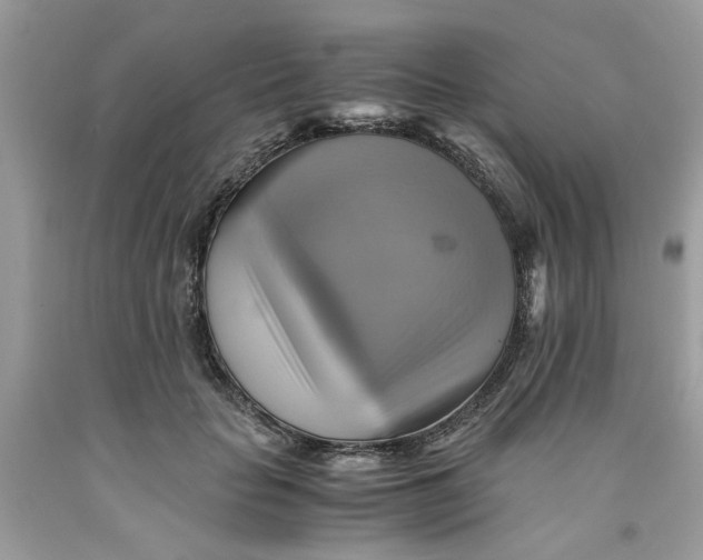 X0000091710653200709141121