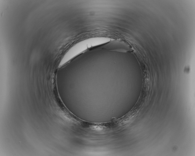 X0000091710654200709141121