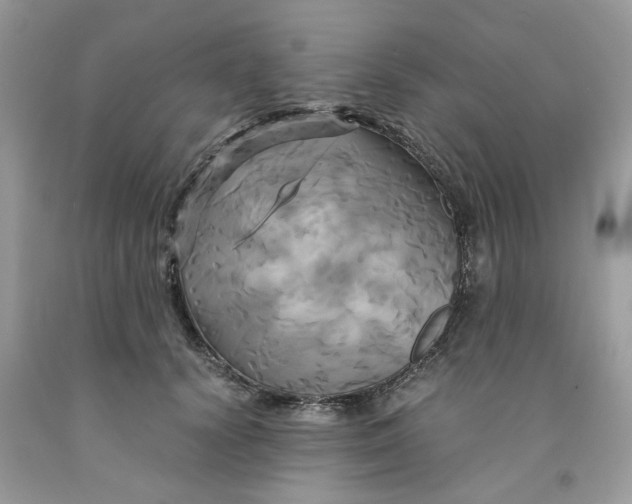 X0000091710656200709141121