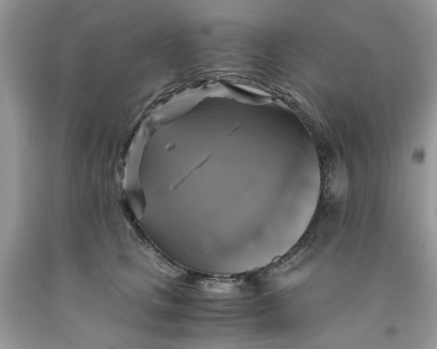 X0000091710661200709141121