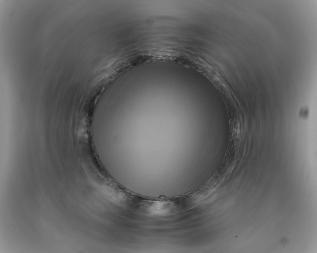 X0000091710663200709141121